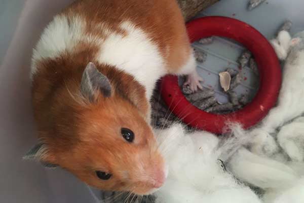 Jitters' check up!